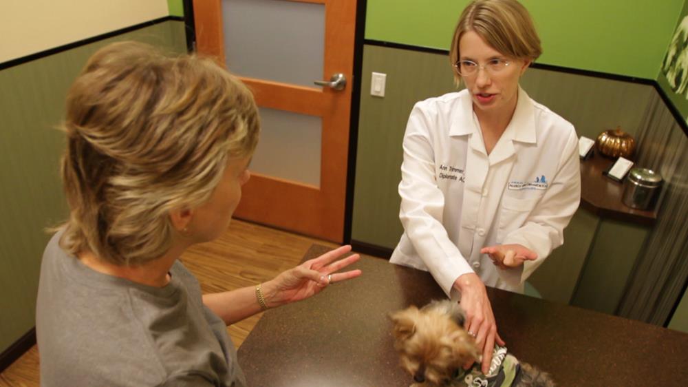 Services in Las Vegas, NV Animal Allergy and Dermatology Specialists
